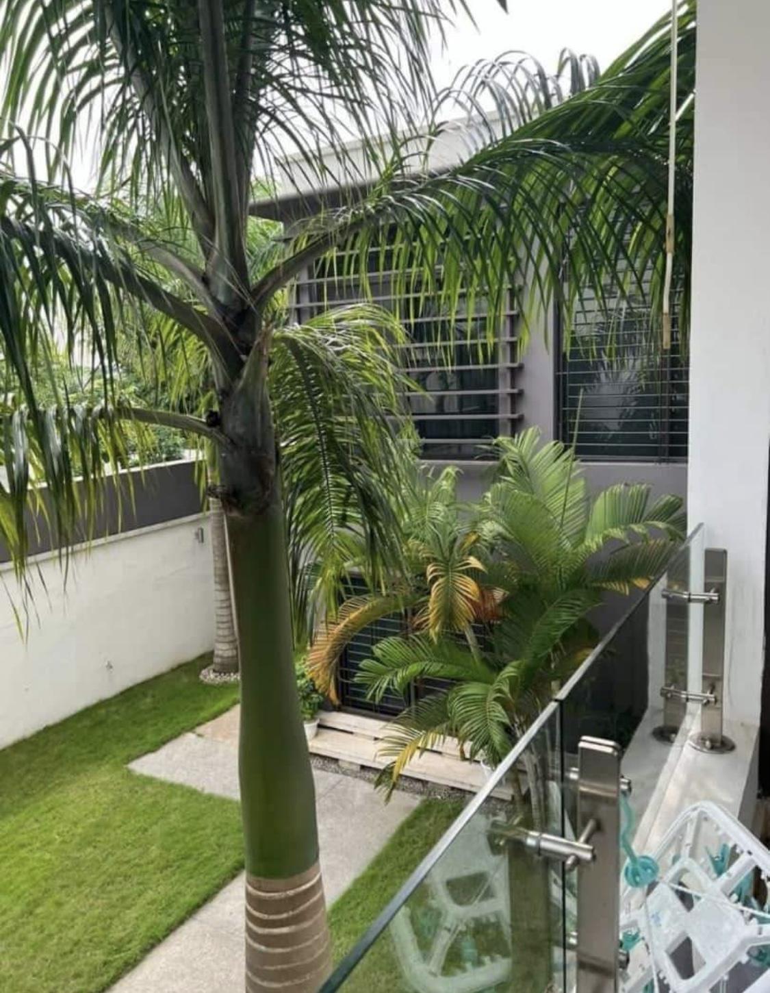 Vente d'une Maison / Villa de 8 pièce(s) à 1.200.000.000 FCFA : Abidjan-Cocody-2 Plateaux (Cocody vallon )