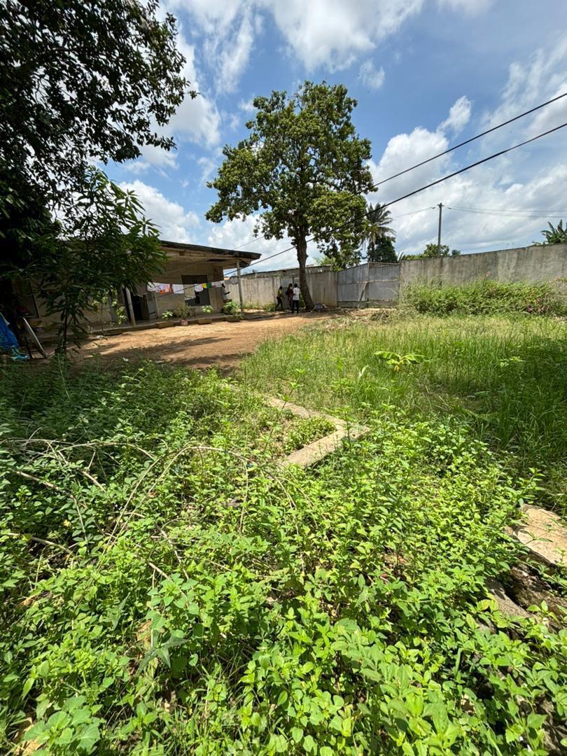 Vente d'un Terrain à 280.000.000 FCFA  : Abidjan-Cocody-Riviera (Rivera 3 9kilos )