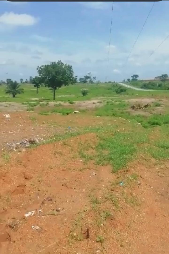 Vente d'un Terrain à 1.500.000 FCFA  : Yamoussoukro-Yamoussoukro (Zatta)