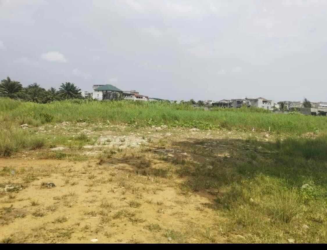 Vente d'un Terrain à 550.000.000 FCFA  : Abidjan-Yopougon (Niangon )