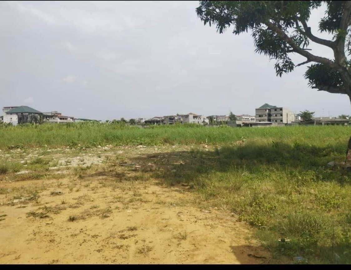 Vente d'un Terrain à 550.000.000 FCFA  : Abidjan-Yopougon (Niangon )