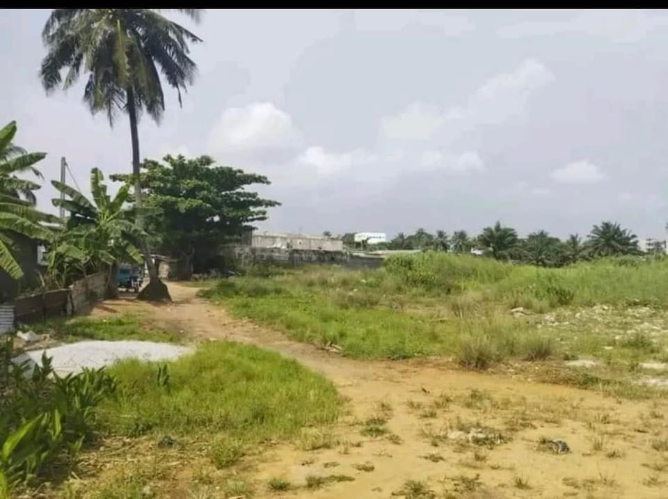 Vente d'un Terrain à 550.000.000 FCFA  : Abidjan-Yopougon (Niangon )