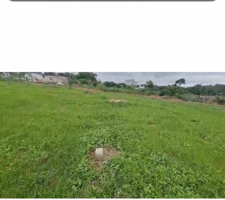 Vente d'un Terrain à 5.000.000 FCFA  : Agboville-Agboville (AZAGUIE)