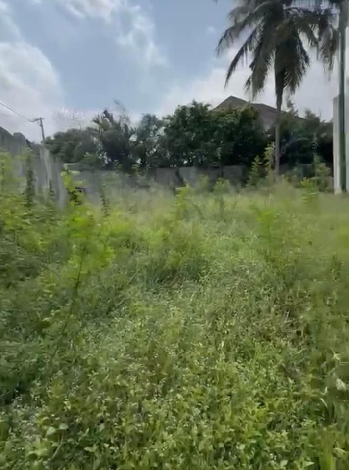 Vente d'un Terrain à 420.000.000 FCFA  : Abidjan-Cocody-2 Plateaux (Rivera 2 ENA )