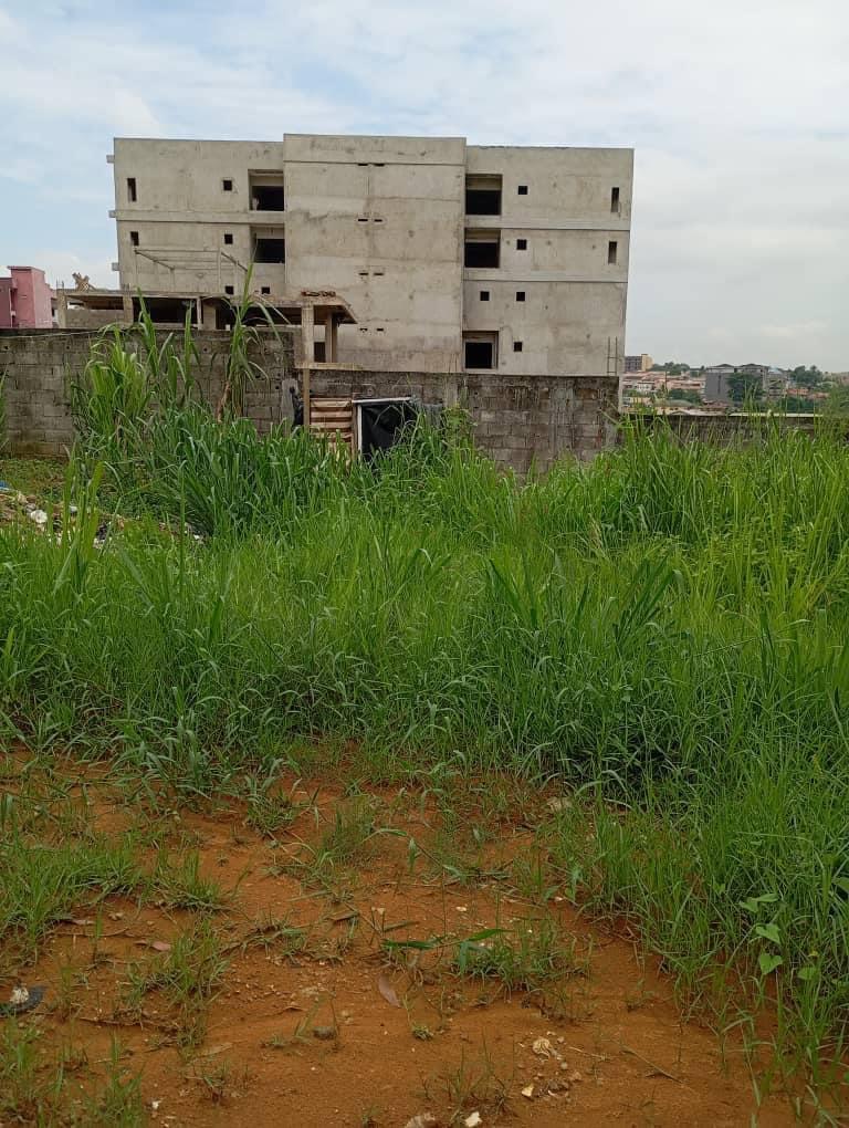 Vente d'un Terrain à 280.000.000 FCFA  : Abidjan-Cocody-Angré (Angre 9)