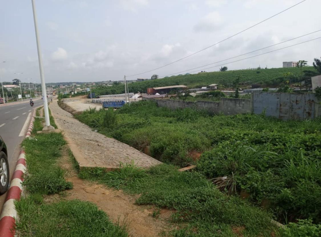 Vente d'un Terrain à 400.000.000 FCFA  : Abidjan-Yopougon (Songon )