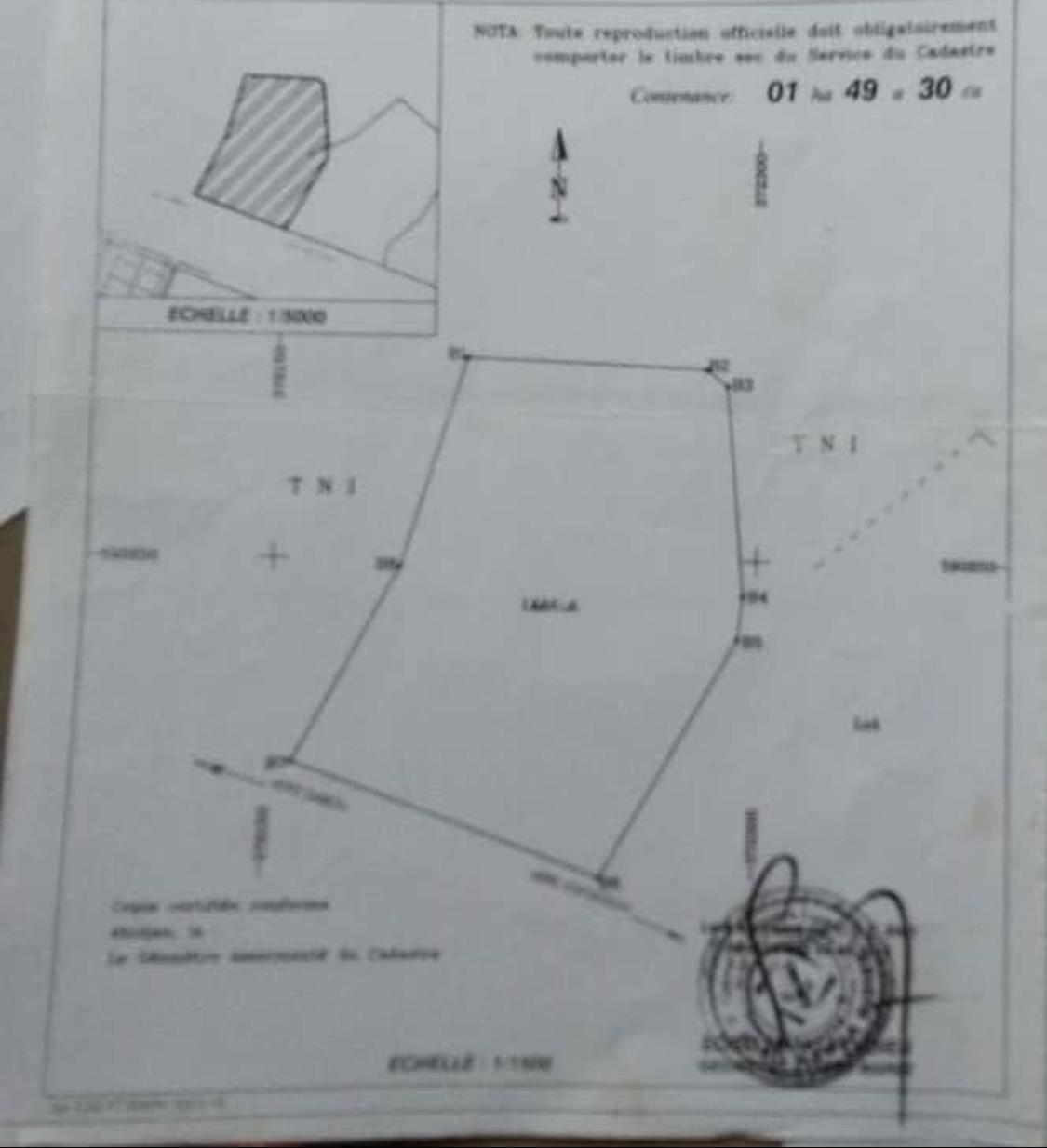 Vente d'un Terrain à 400.000.000 FCFA  : Abidjan-Yopougon (Songon )