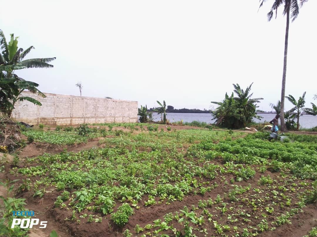 Vente d'un Terrain à 500.000 FCFA  : Abidjan-Cocody-Riviera (Rivera 4)