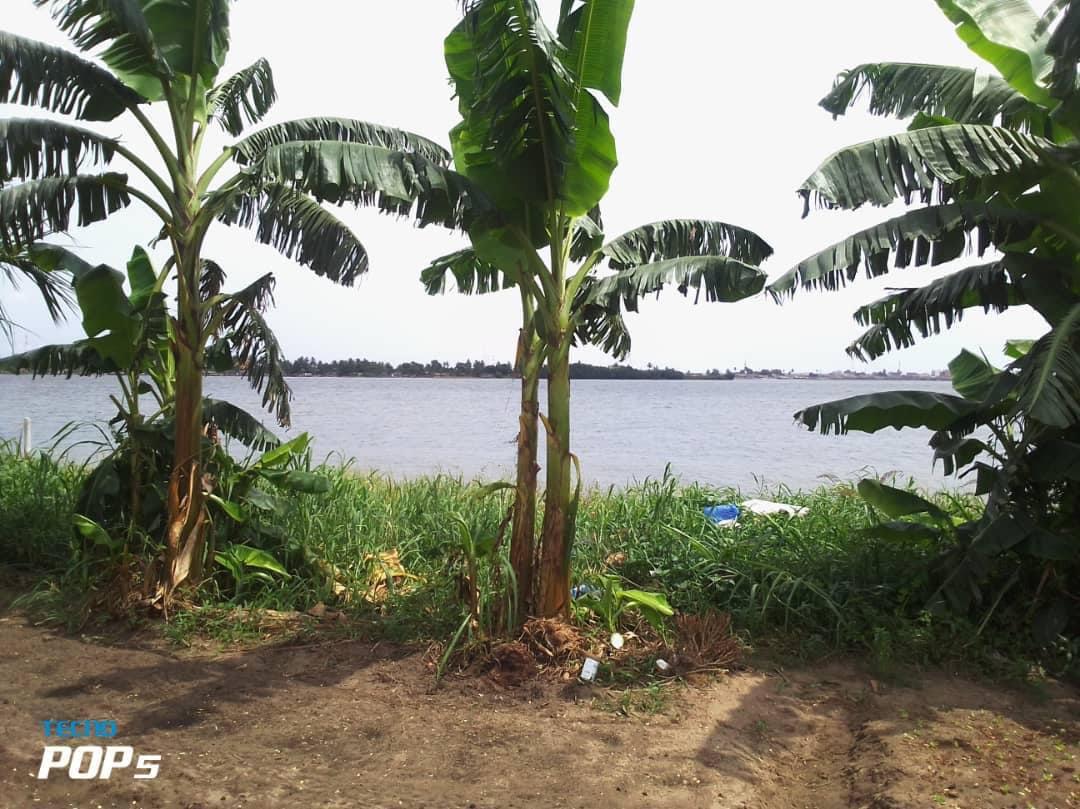 Vente d'un Terrain : Abidjan-Cocody-Riviera (Rivera 4 m’badon )