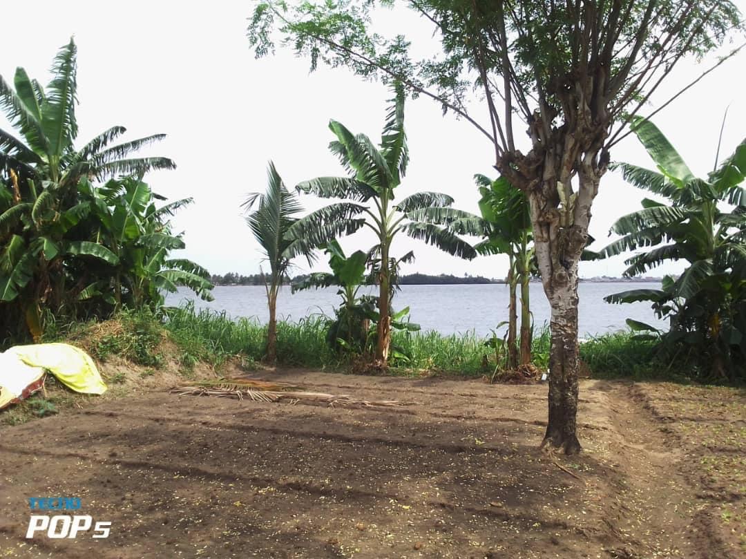 Vente d'un Terrain à 500.000 FCFA  : Abidjan-Cocody-Riviera (Rivera 4 m’badon )