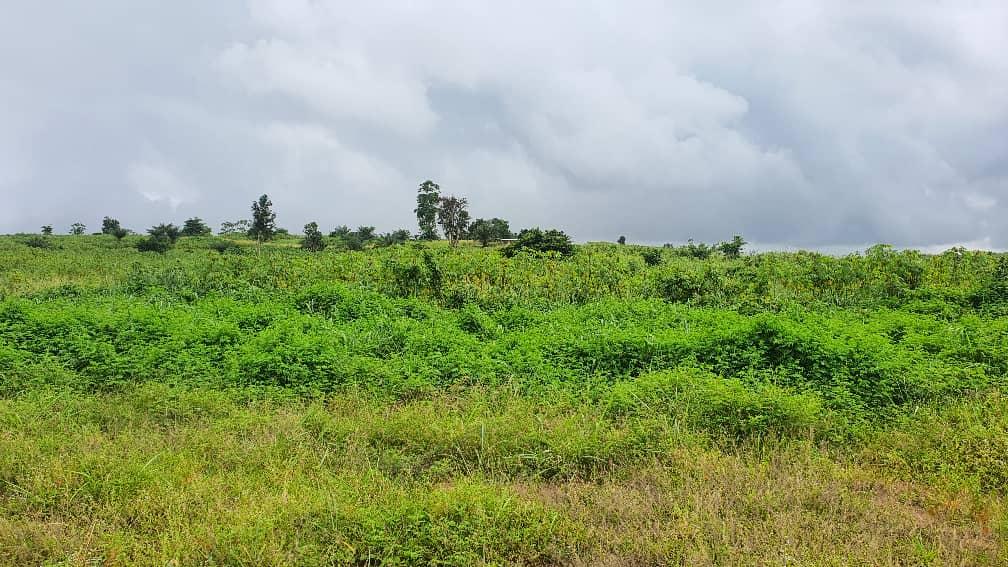 Vente d'un Terrain : Abidjan-Bingerville (Nord-est )