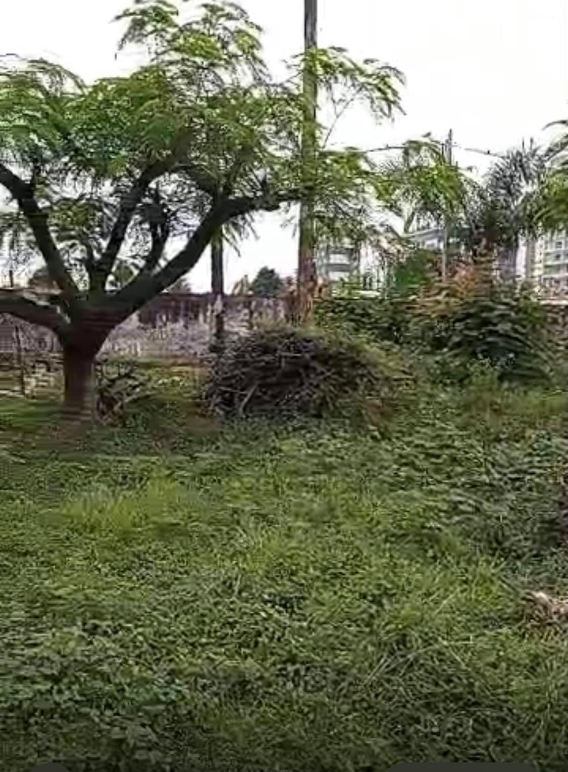 Vente d'un Terrain à 5.400.000.000 FCFA  : Abidjan-Marcory (Zone 4 )