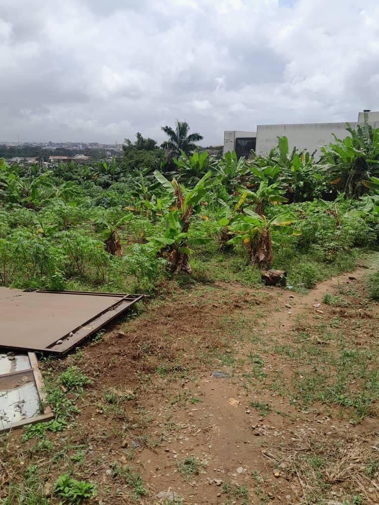 Vente d'un Terrain à 650.000 FCFA  : Abidjan-Cocody-Riviera (Rivera 4)