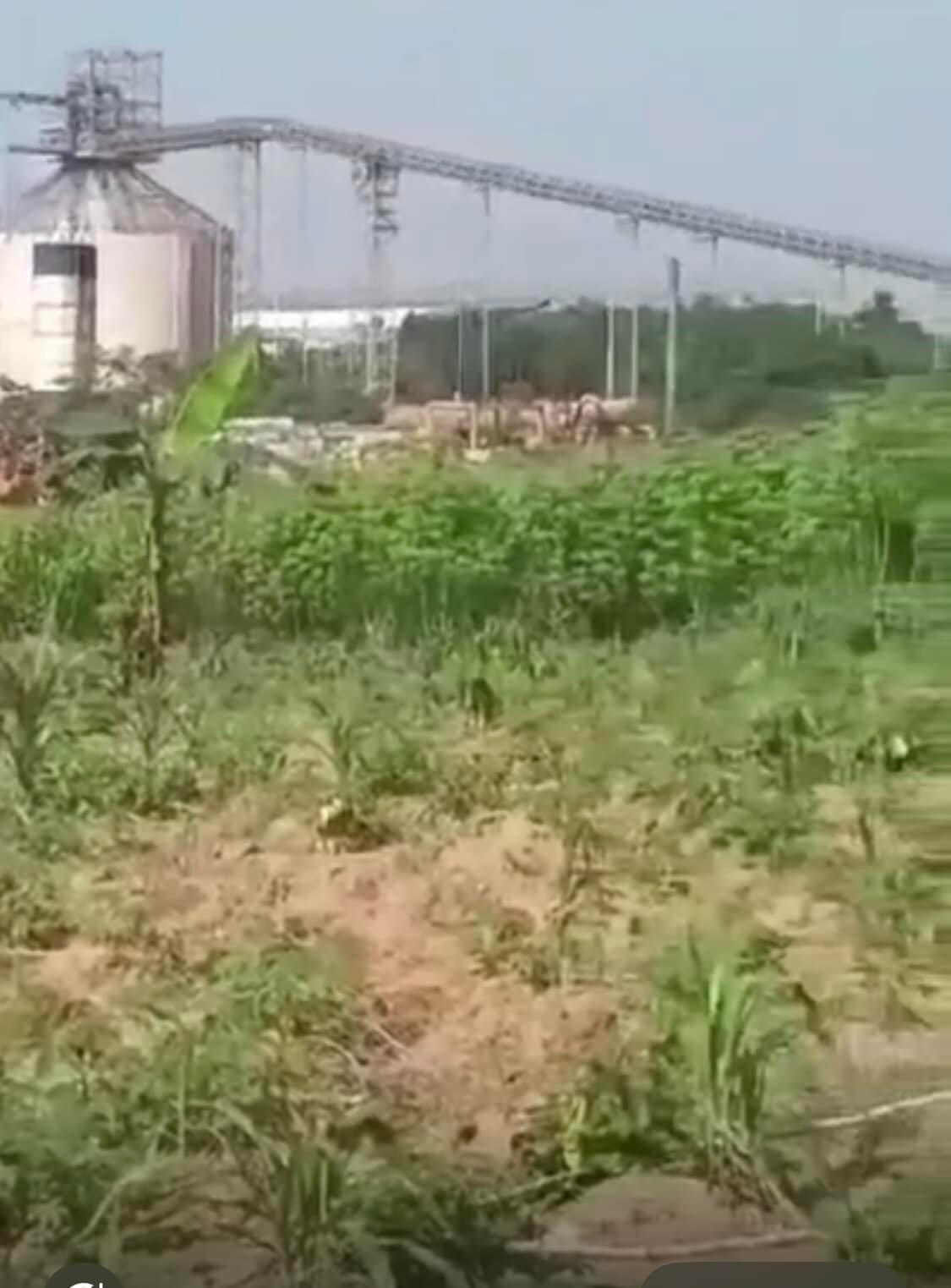 Vente d'un Terrain : Abidjan-Yopougon (L’autoroute)