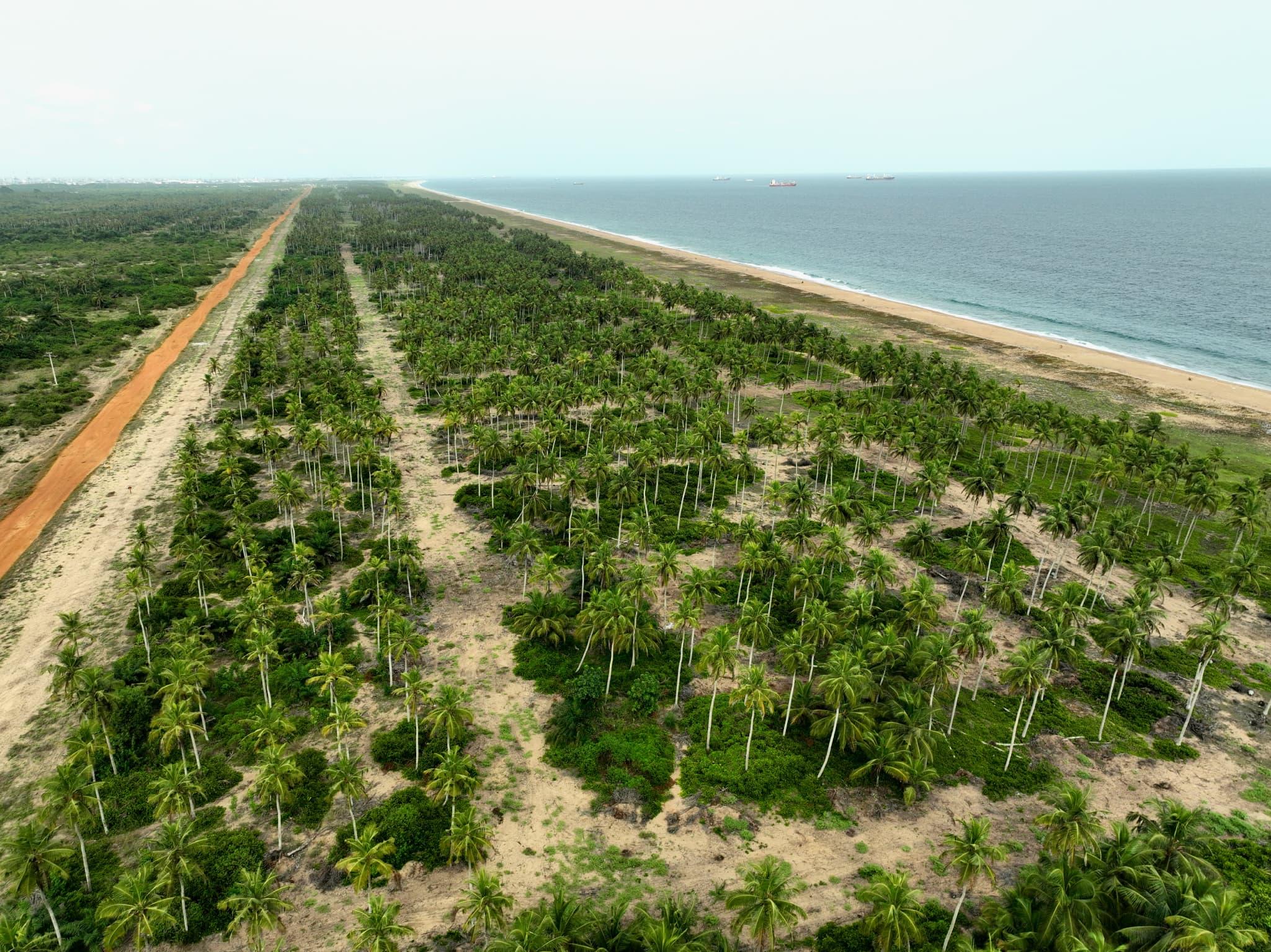 Vente d'un Terrain : Abidjan-Autre (SONGON)